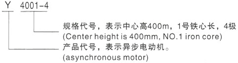 西安泰富西玛Y系列(H355-1000)高压新田三相异步电机型号说明